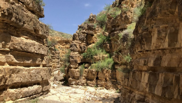 Խոր Վիրապ, Հրեշտակների ձոր, Տափի բերդ