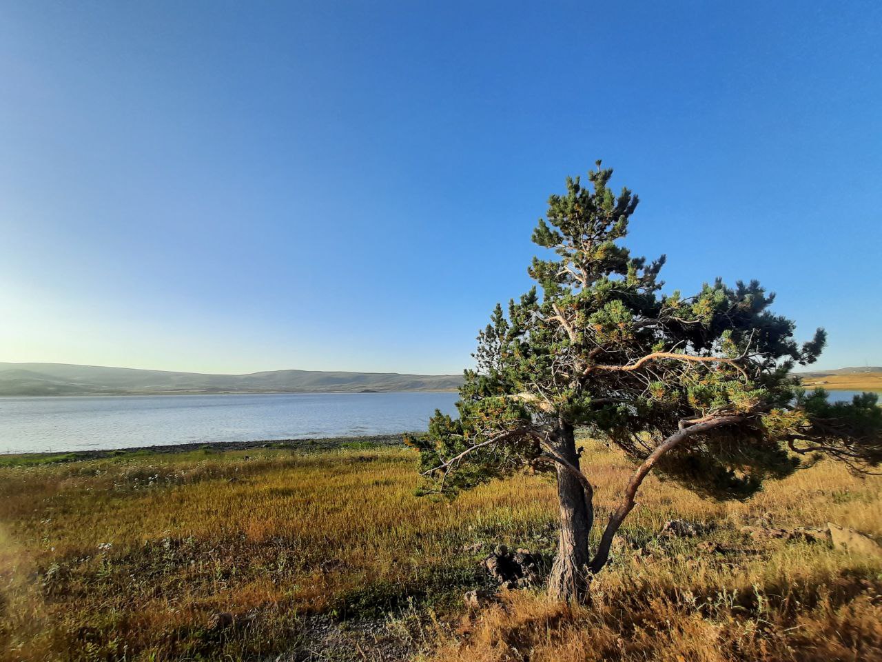 Արփի լճի ջրամբար