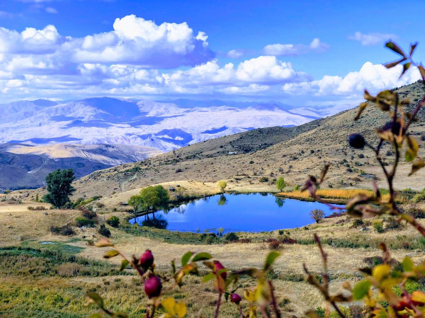 Չումով լիճ